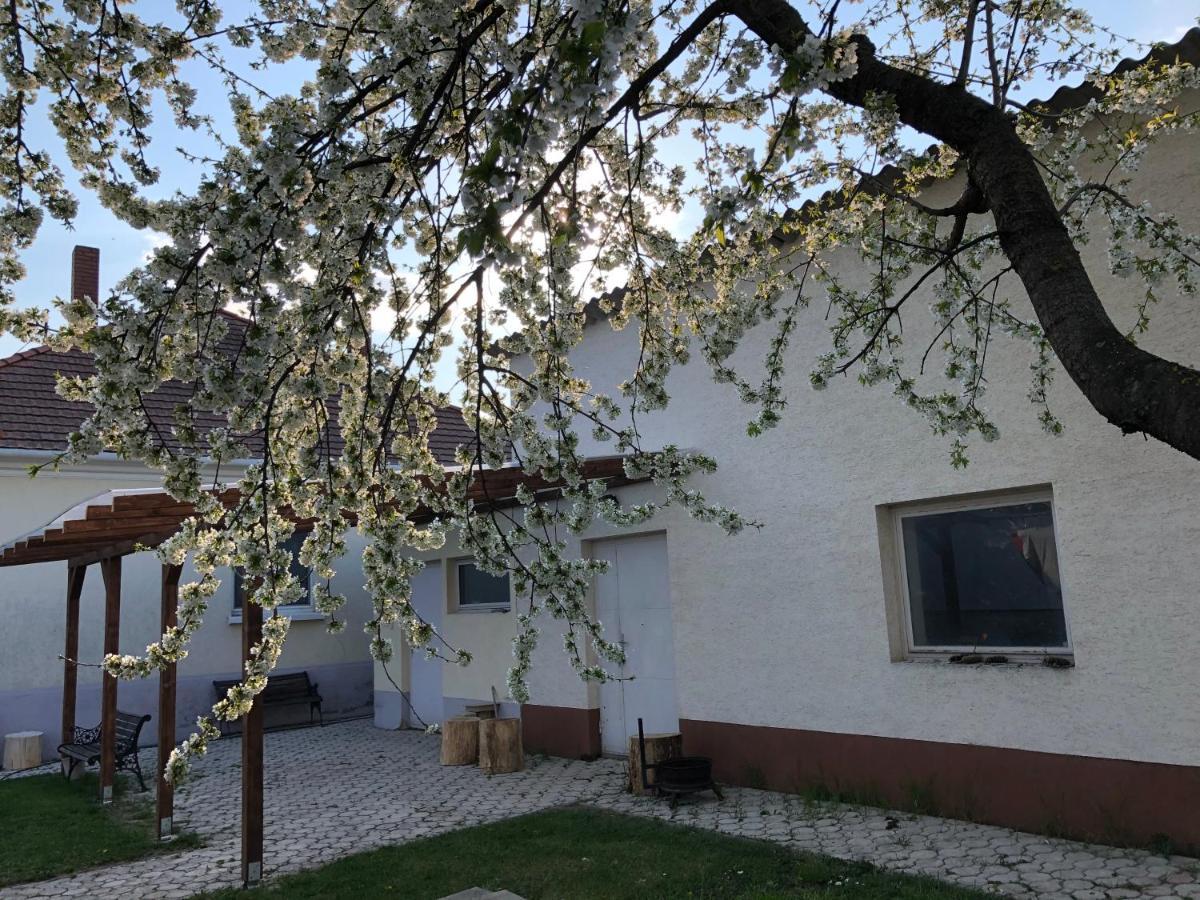 Elvira Vendeghaz Apartment Kisbodak Exterior photo